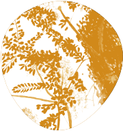 Buran Nalgarra - Kindlehill Senior School